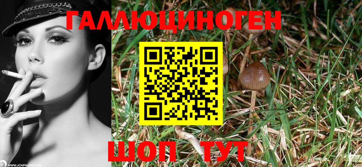 Галлюциногенные грибы MAGIC MUSHROOMS Мичуринск